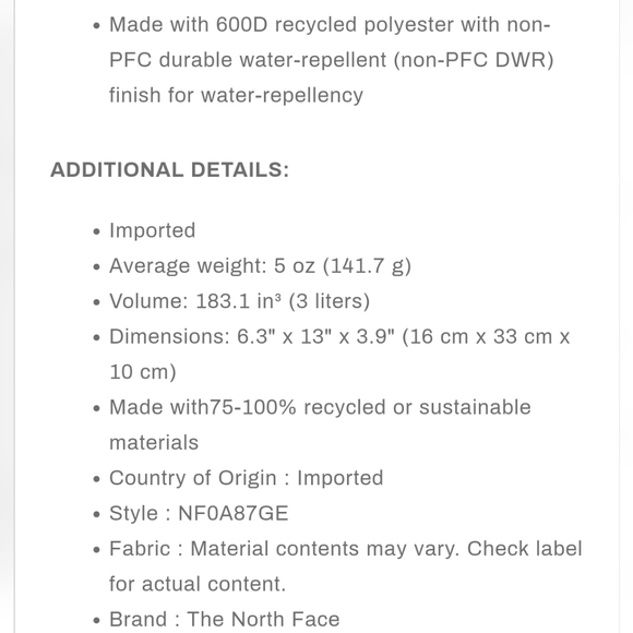 The North Face Hip Bag - Picture 15 of 16